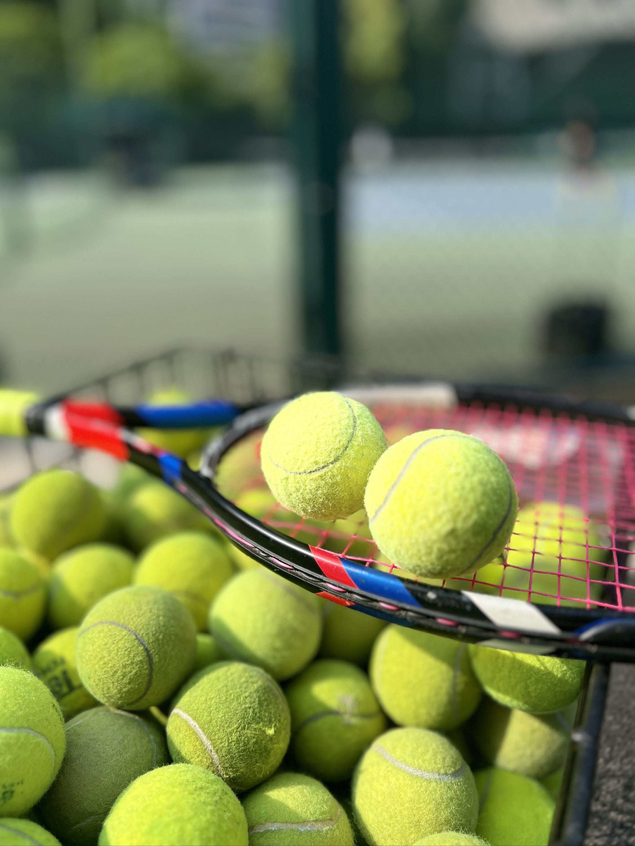 在对阵塞维 在对阵塞维