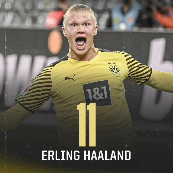 单打的双线 单打的双线